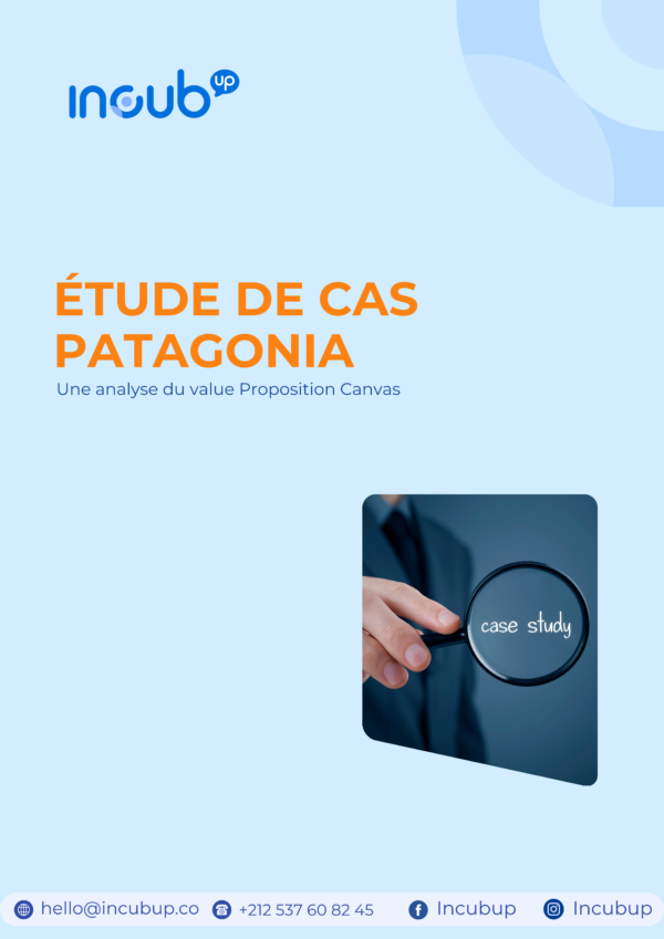 Étude de Cas Patagonia: Une analyse du value Proposition Canvas