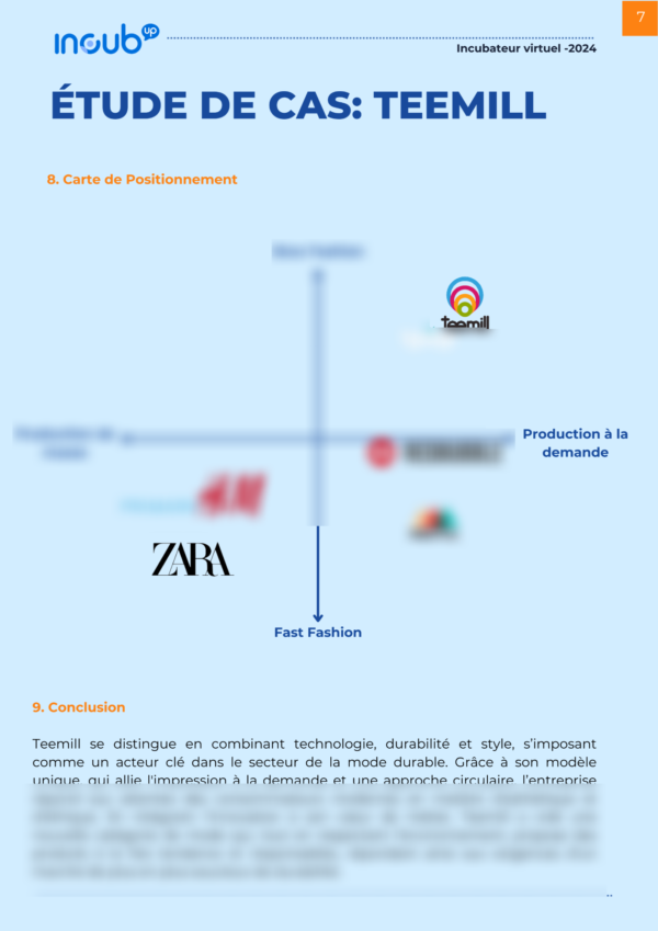 Étude de cas de TEEMILL: Une stratégie de positionnement centrée sur la durabilité et l'innovation dans l'impression à la demande – Image 2