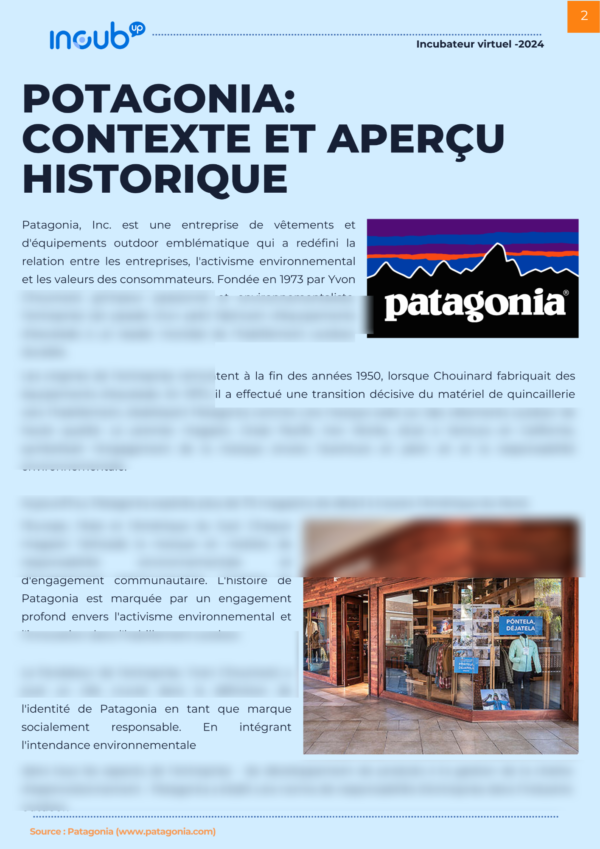 Étude de Cas Patagonia: Une analyse du value Proposition Canvas – Image 2