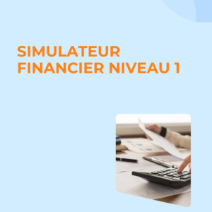 Simulateur financier Niveau 1